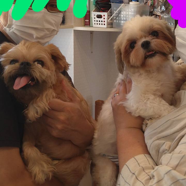 46948427 2a59 4fa9 a9f0 f025030c598e 1599285517332