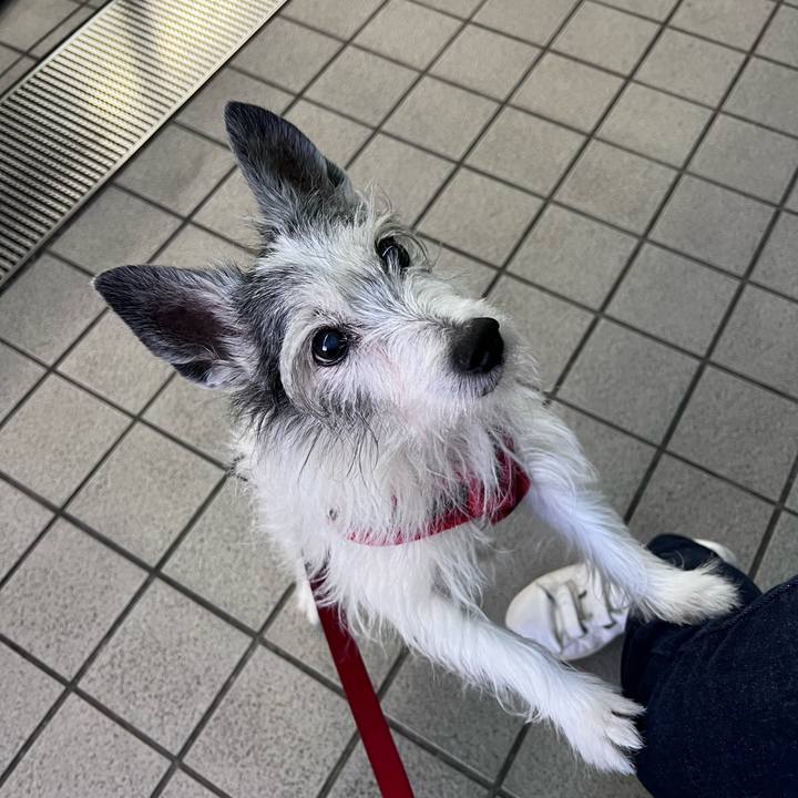 46948dfc 94bd 4d6f b7d6 7a91bba3559e 1651624256501