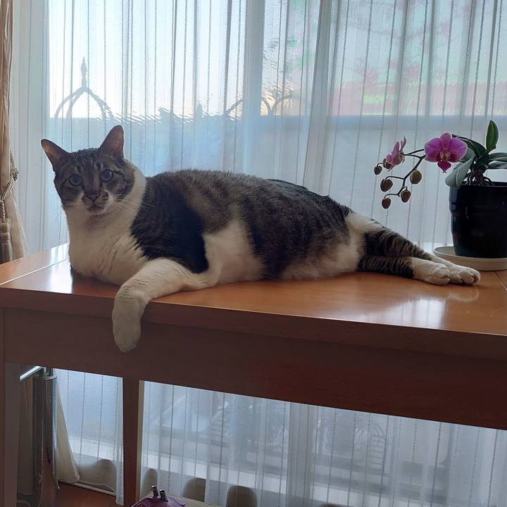 4694b300 2525 4406 9991 ccf47377dae6 1647326874840