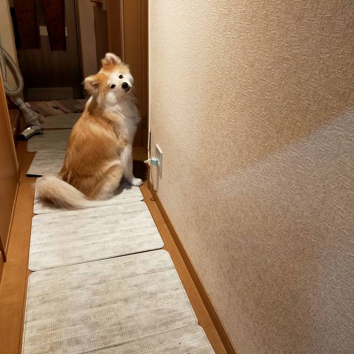 4694fa55 3a45 43d9 a8bd 68d6dd487fb0 1639141731753