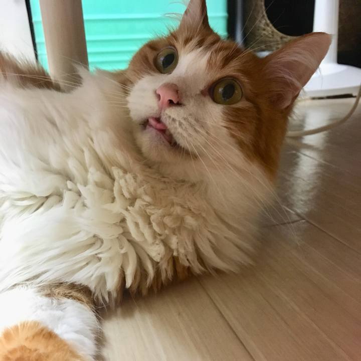 46950ff7 a012 4d8c 840c a25f5843eca1 1561114750279