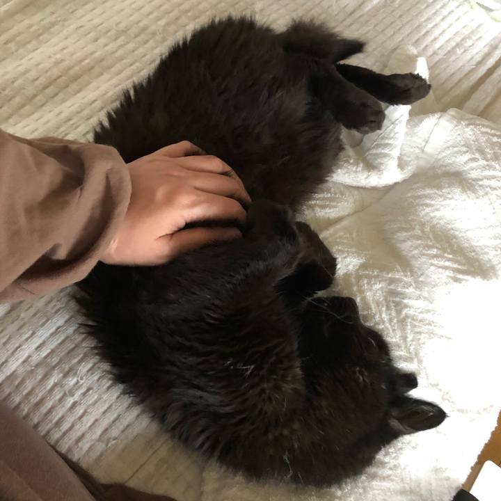 46954703 2383 46aa 8124 8853beb9b165 1598750275350