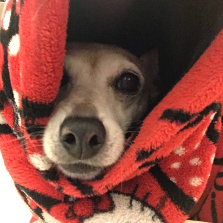 4695a978 fd75 460c 8dba bf33e7b475f6 1542098960736