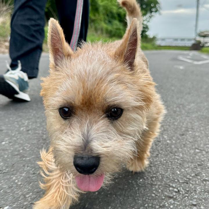 4695cf40 8500 46c7 83ac 84cb90224813 1715513338268