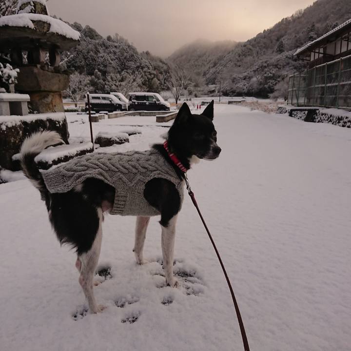 4695eb2e fc00 4775 89c6 1c15965368ec 1608217147731