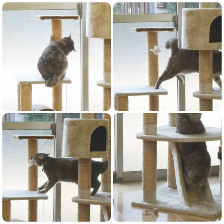 469608c9 7621 4345 a7f1 480fb4cc7eca 1568795117634