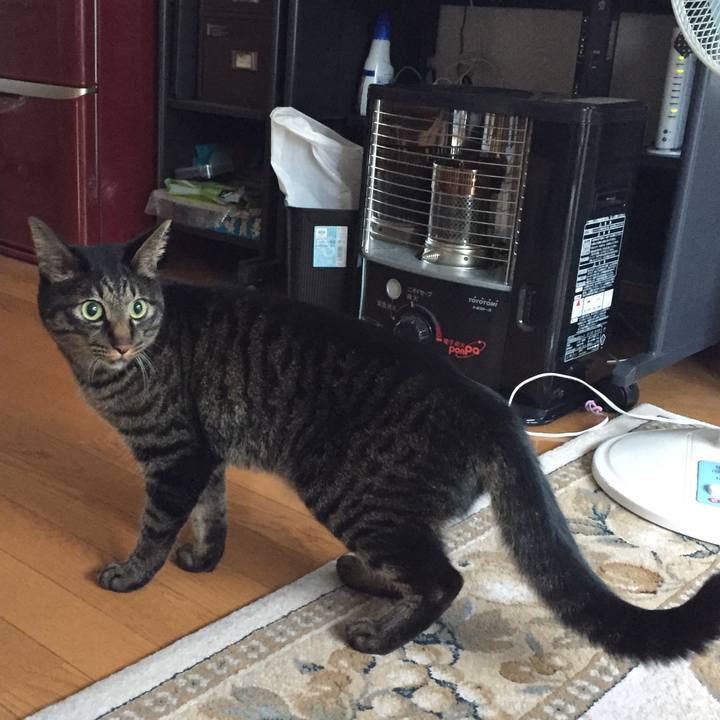 46964476 28d1 494a 9cee 19faa63e4c82 1535274313729