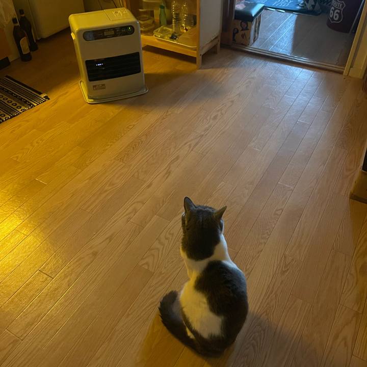 4696787a 35a3 4b07 9df4 c6c3a8e1f7bf 1740089509015