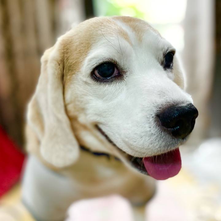 4696af36 e864 479e bf3a a1d1a4be7f4f 1624075944820