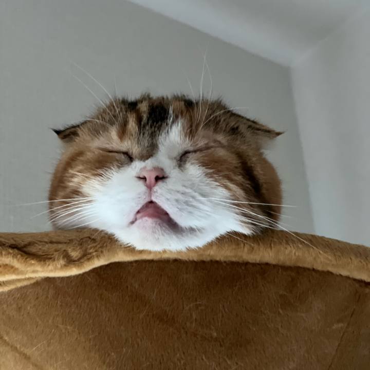 4696b595 aea2 4465 a7f9 3c1fab396a69 1697335047459