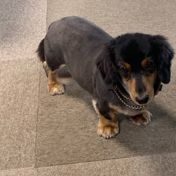 4696c05d de2a 4593 b60a fa9674696aa2 1570860923305