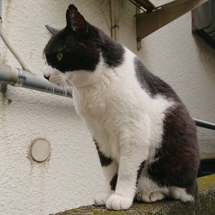 4696d07d b52a 42da 95ac 8146ce79d660 1527738228788