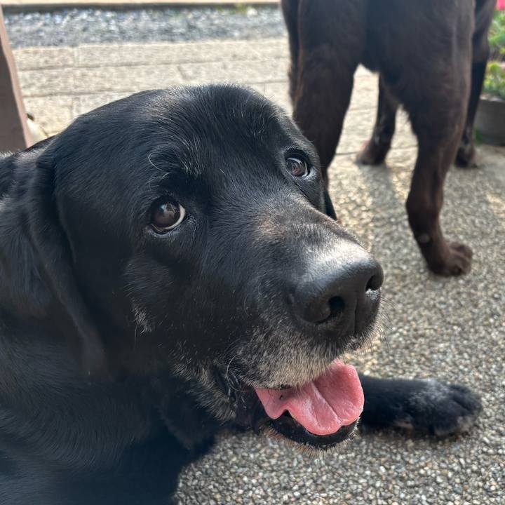 46976d1d 0997 456e 8ac0 906a68e18e92 1774956561983