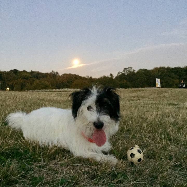 46976ffe d2b1 4c4b a4d6 c4ca77131f35 1509703249135