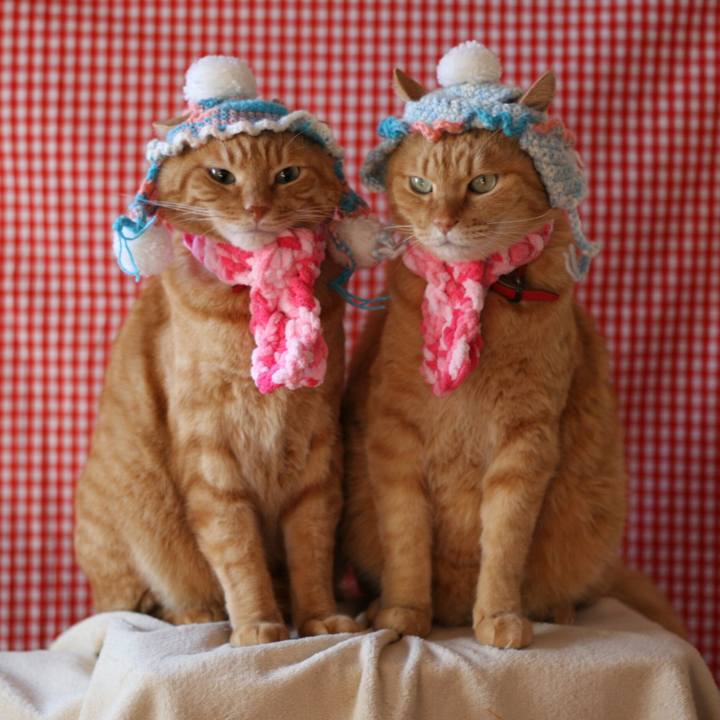 46979597 5038 4f46 bd1f d8ad3948bdc7 1513239557871