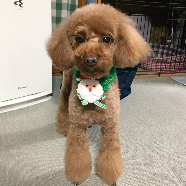 46979e12 270e 4a06 88af 0a8d677c4b8a 1544343419922