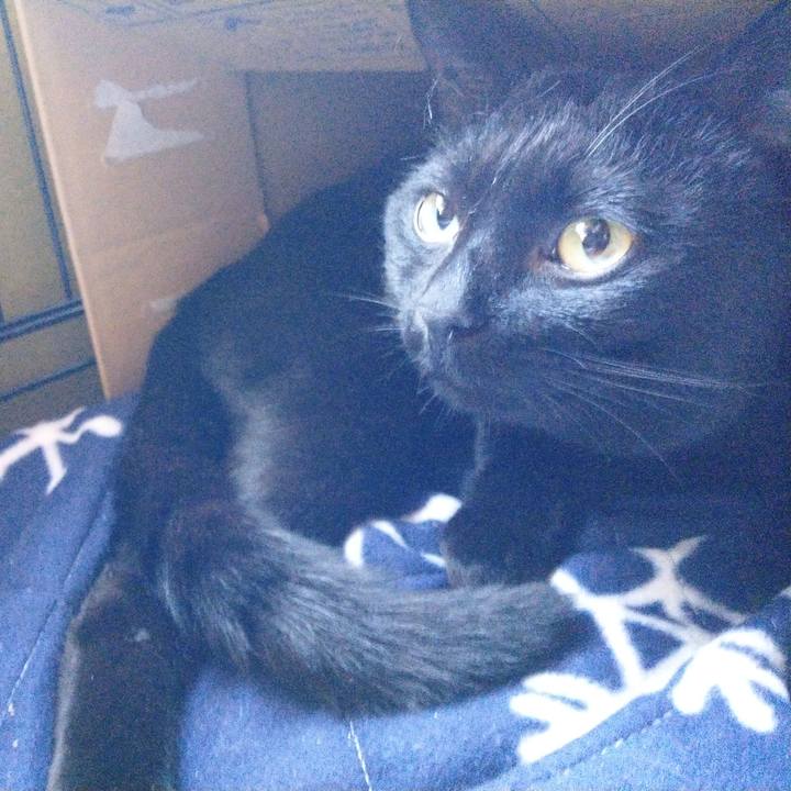 469819dc a951 496d a2e4 bc7a25fa5179 1557358856965