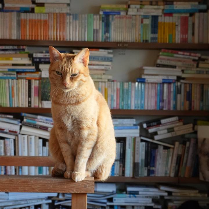 46982af8 0347 492f b7a8 829740f69eee 1741483445816