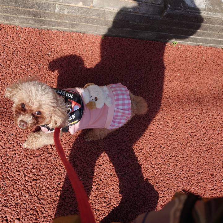 46982f85 5991 43d8 83c1 dc90a5870be0 1739684467074