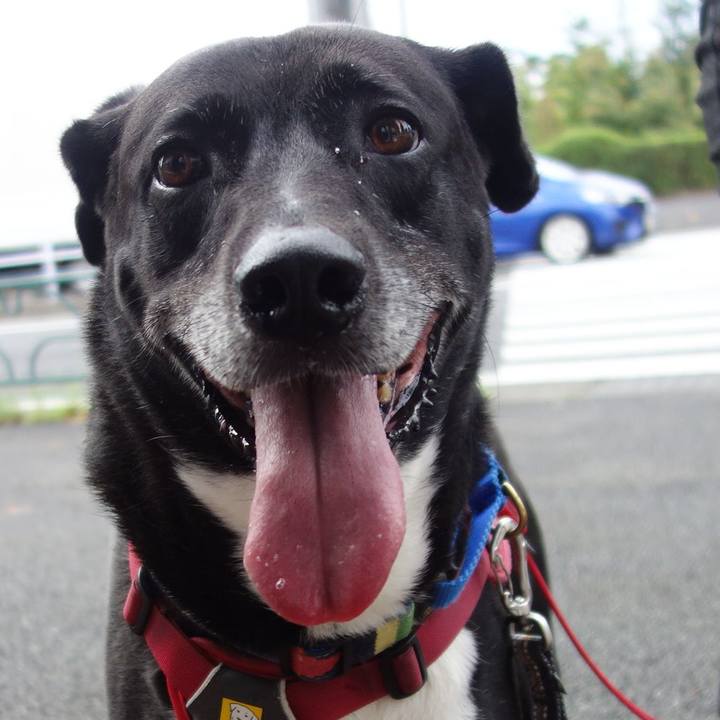 469830e0 de44 4159 bbb1 a468b439f265 1688171634085