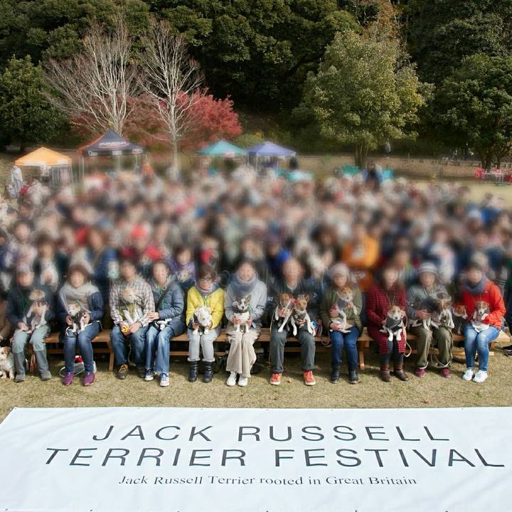 46983b57 02b8 4943 a8d0 a24b89d93b03 1543833614244