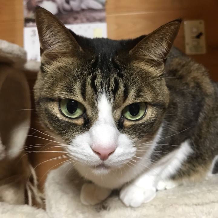 4698642d 7731 4636 a834 cc7030a39a53 1553345532766