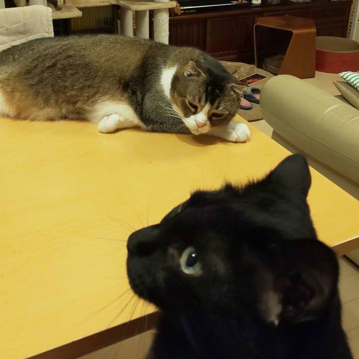 46989156 e2ad 469d 8135 3a391a529500 1754578910874