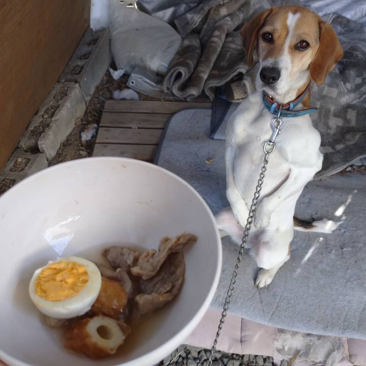 46989216 cbbb 4f5b b301 53155f95cded 1612930416879