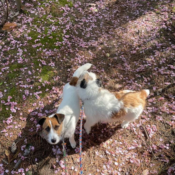 46991b0a 5c76 4ff4 92e9 0ab289b6e291 1714090679379