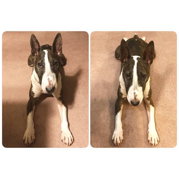 469949ea ff63 4871 8e95 7f9b3fd80656 1527252157669