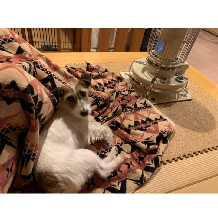 46995140 3553 4492 8d95 e8d7aac444ca 1585486524187