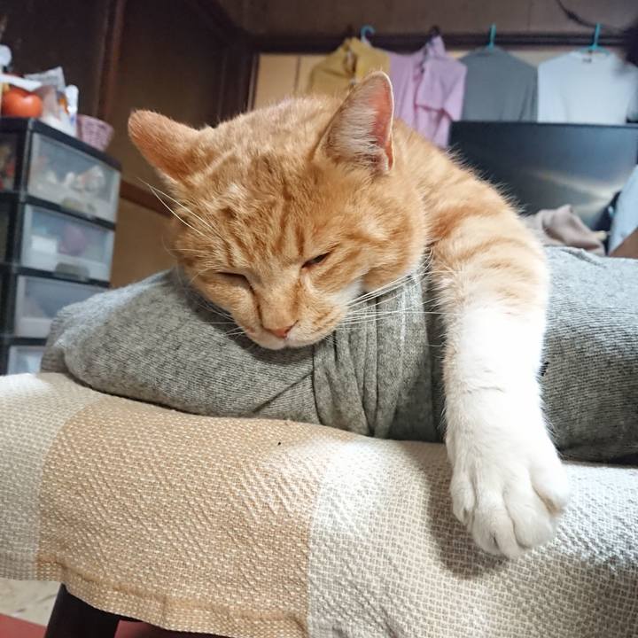 46999bd1 8d02 4675 8bb0 7ec4e3fb722b 1577183475487