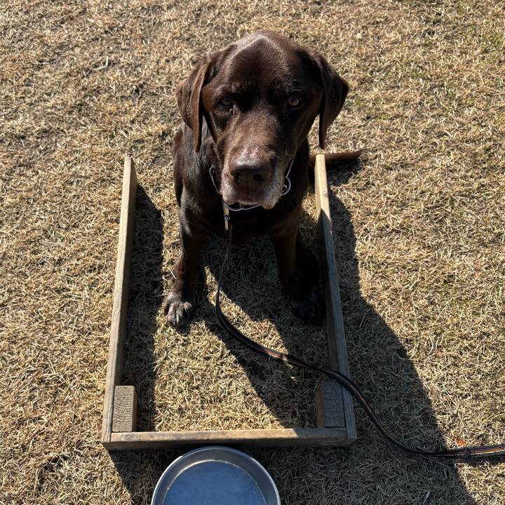 4699a23a 8192 47ee b214 2594a7253632 1765116783114