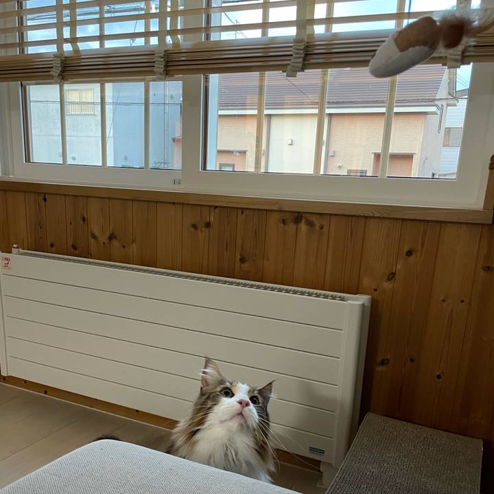 4699b718 598e 4cdd aa35 0c39496f2842 1667943413666