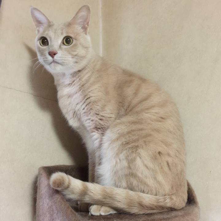 4699bad3 3c82 438a af81 9006ed38405e 1567510723797