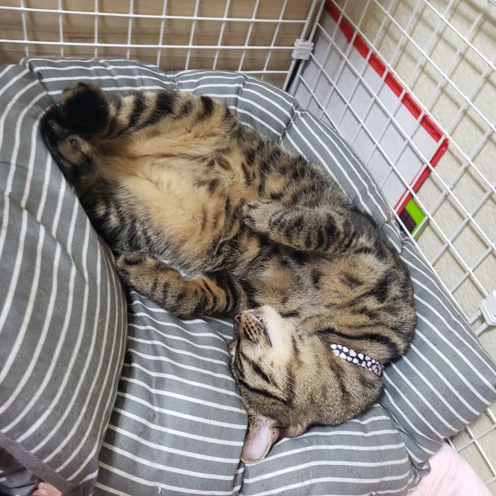 4699db6e d43d 4314 b674 8342fd684137 1568744875466