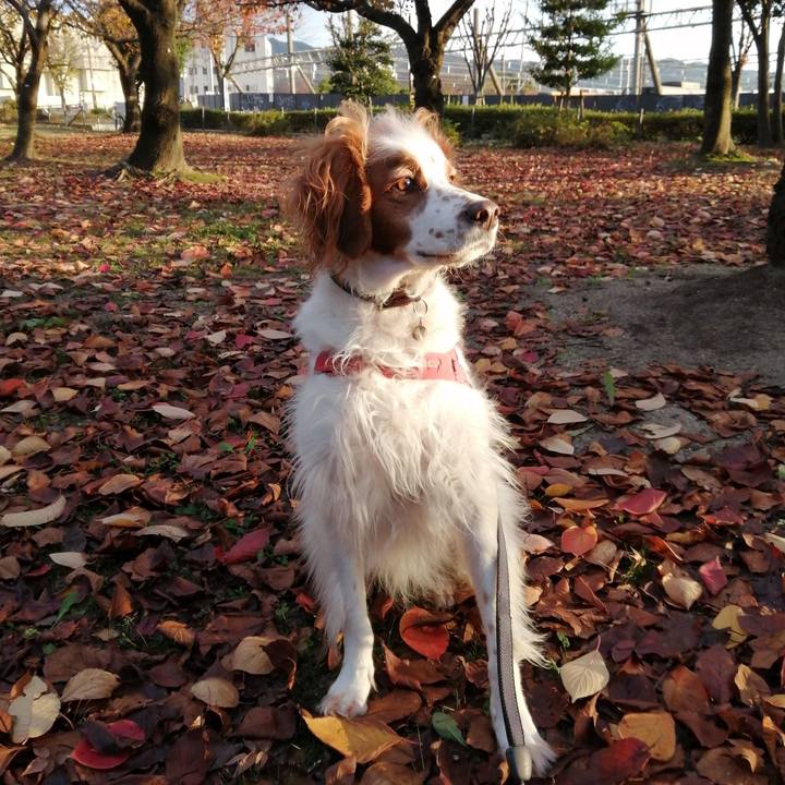 469a1ad3 89cb 420a a7b8 545a453c9ec0 1575459059025