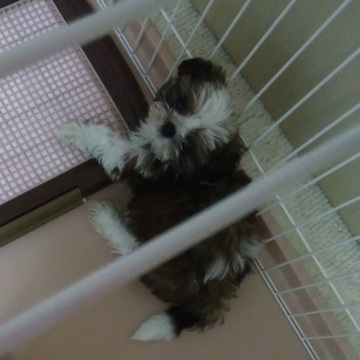 469a29fd 75ed 4316 aa8e 42547d3415c2 1531957502397