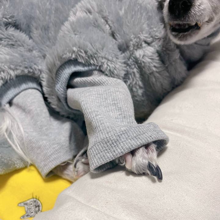 469a3005 a566 4632 9021 a14bf8490295 1765957185060