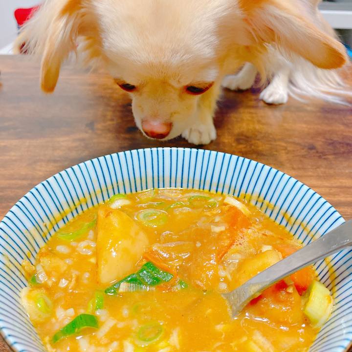 469a33fa ad7a 4392 9b72 9b02b02e744c 1642508651892