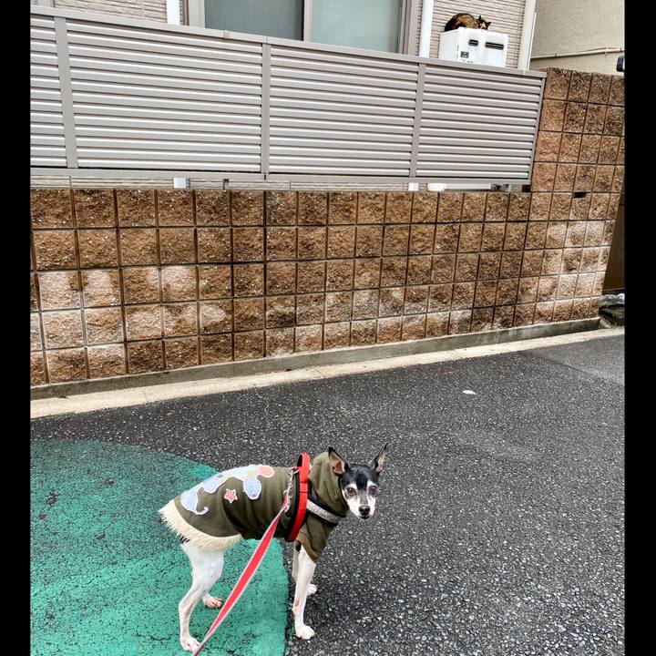 469a6a1d a5c3 4b39 a176 388574d36786 1583028820120