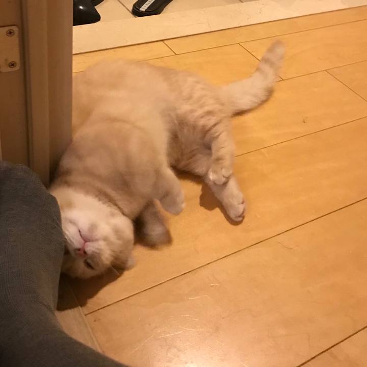 469a6bf0 def5 45fd 8617 26ae66de675d 1519395237162