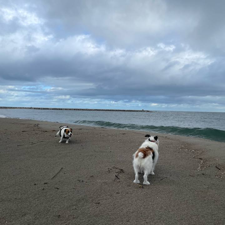 469a6d41 3899 45d6 8fbb 8e1a9305f1d3 1756857911631