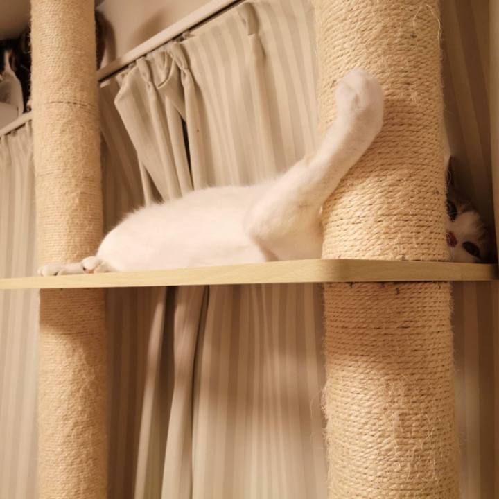 469aaa04 7f3f 4a4e bba6 961a4f12d912 1616855207581