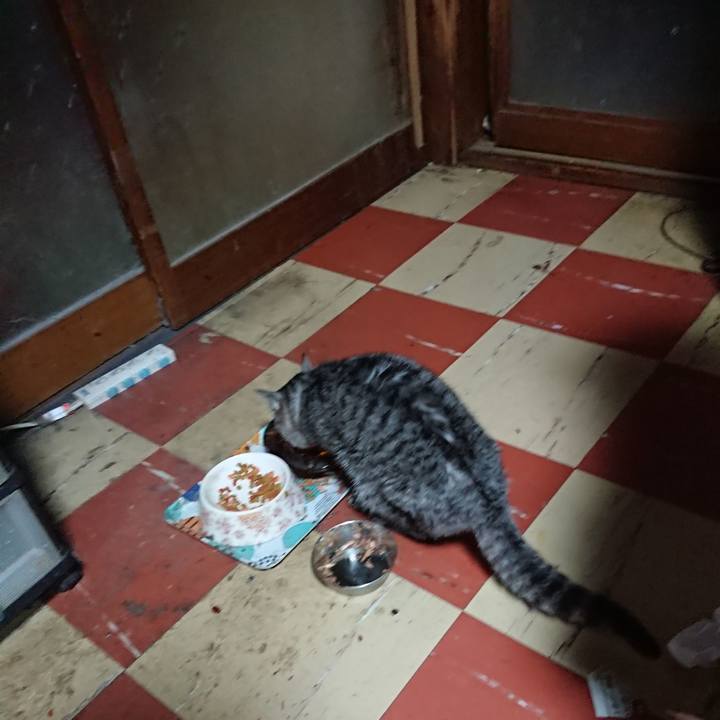 469ab02e aef0 425a a16c 48e516551c1b 1585386349172