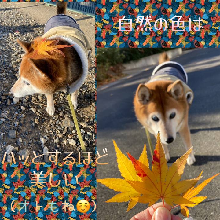 469ab3d9 062f 4188 b82d e9b11e9d414c 1703291640132