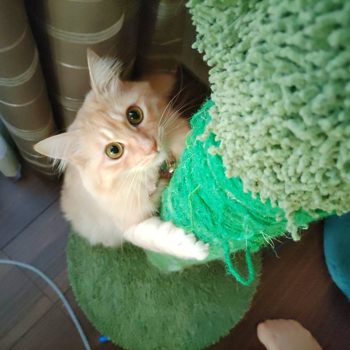 469ab3eb b44a 41c3 9af1 68e5ba899e59 1664492585960