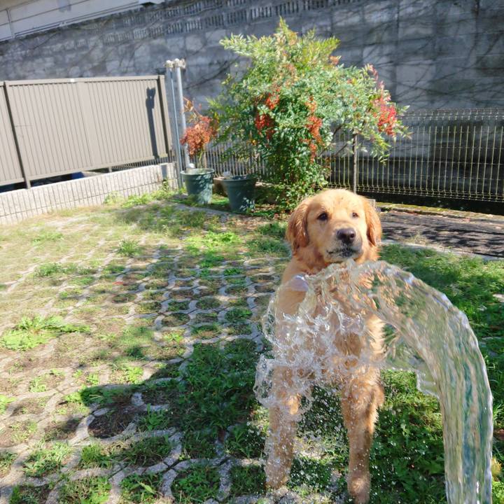 469b2b0a c10f 4740 9e4e 9003314f84ff 1572257264952