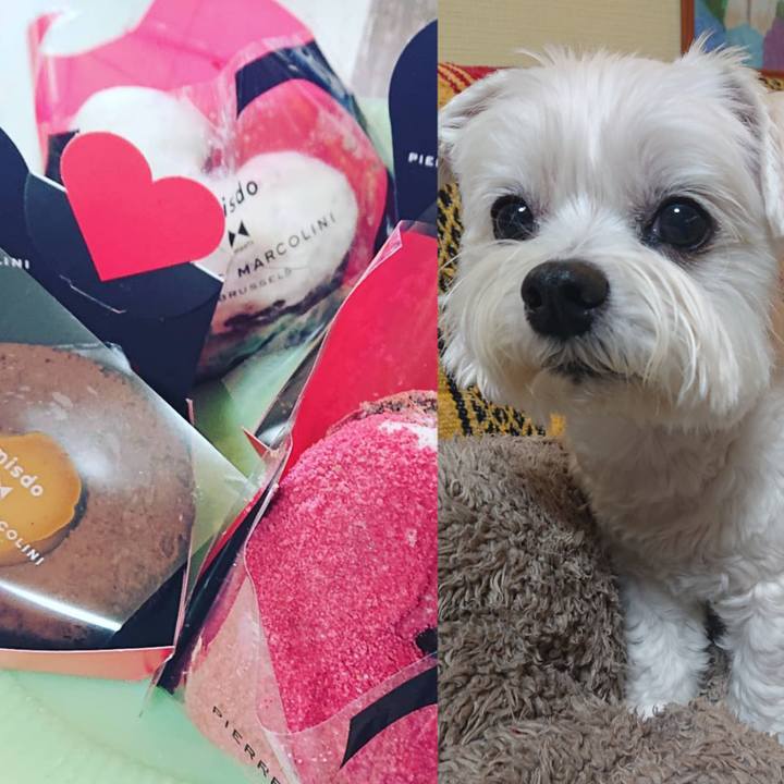 469b33c3 9902 46ef 974b aaee5fcd32d3 1613823069373