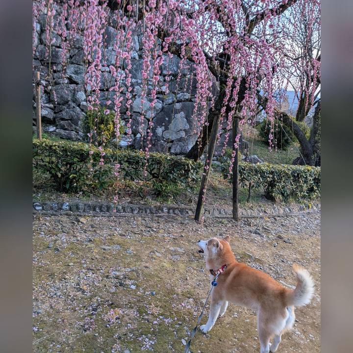 469b3a3b 006e 4885 96f0 330d64355736 1771504659538